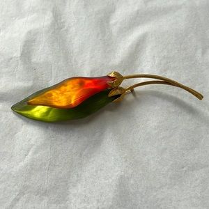 Brooches / Pin
